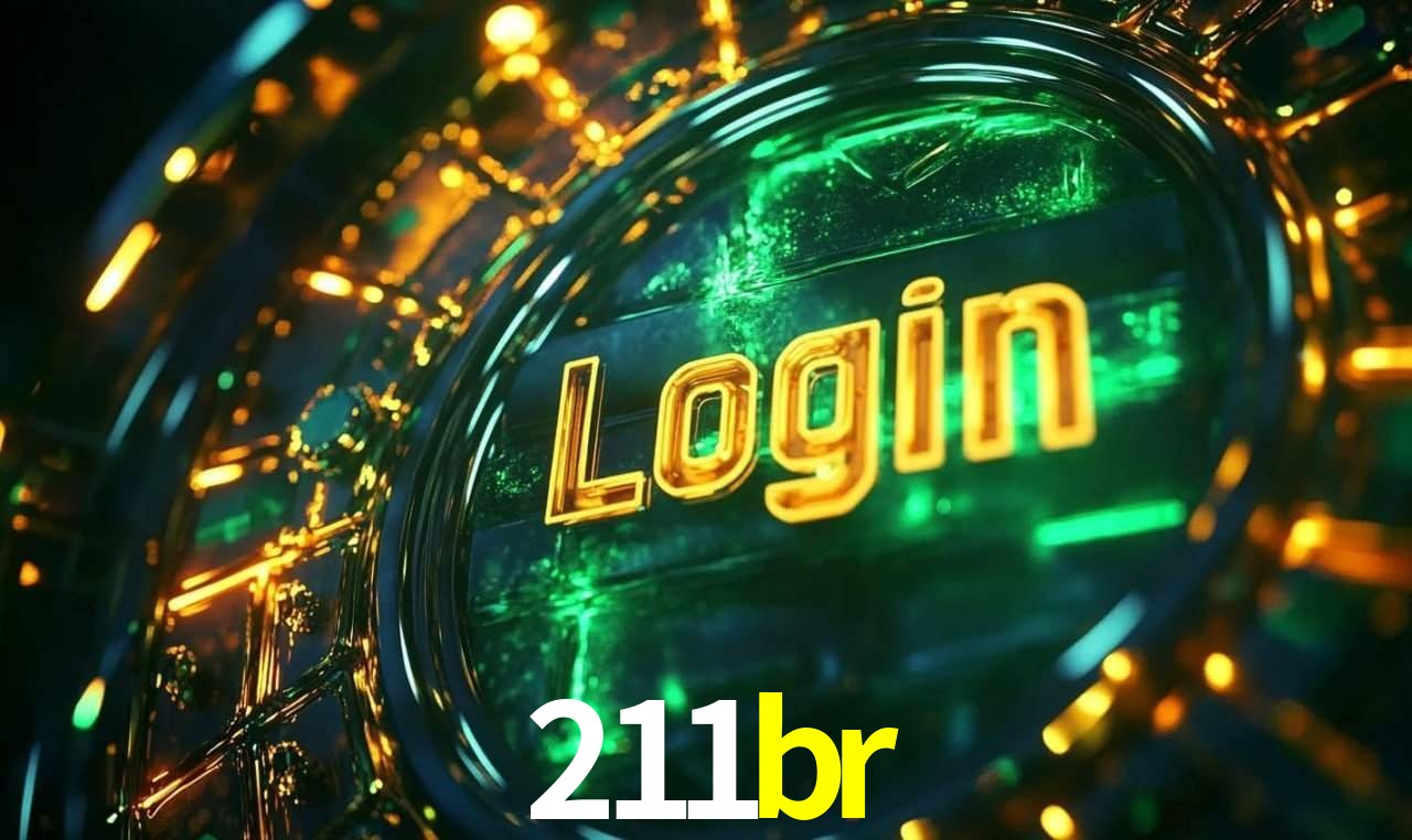 211br App Interface